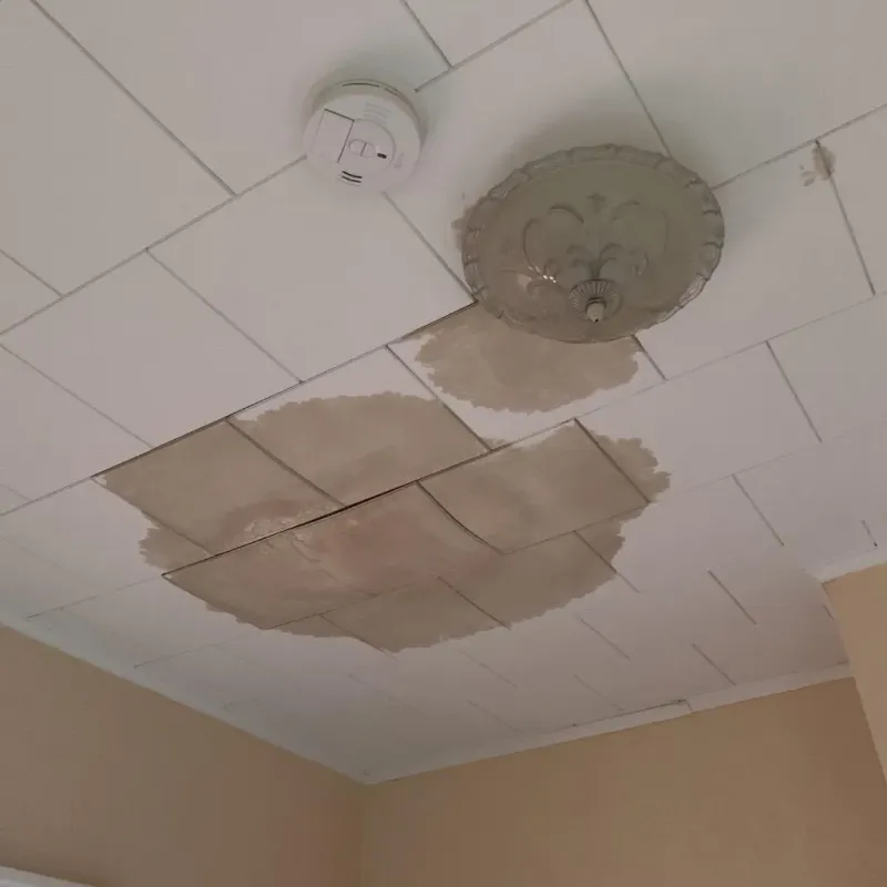 Ceiling Water Damage Repair in Despard, WV