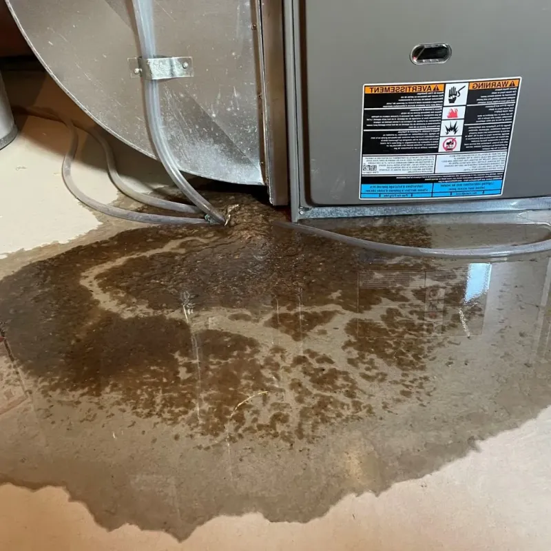 Pipe Burst and Leak Restoration in Despard, WV