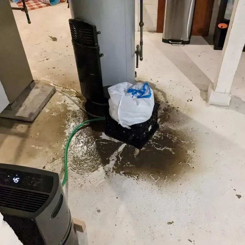 Sewage Backup Cleanup Service in Despard, WV